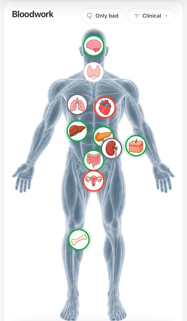 Bloodwork body map